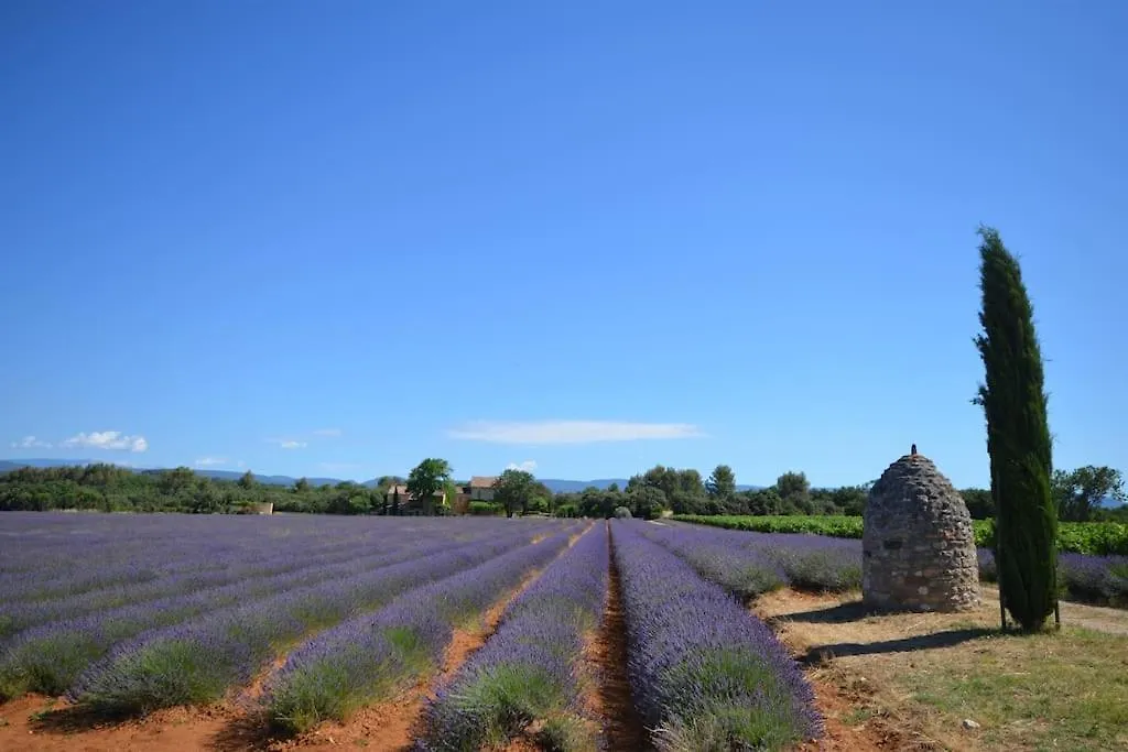 Semesterbostad La Maison D'Anthonie, Roussillon Roussillon en Isere Frankrike