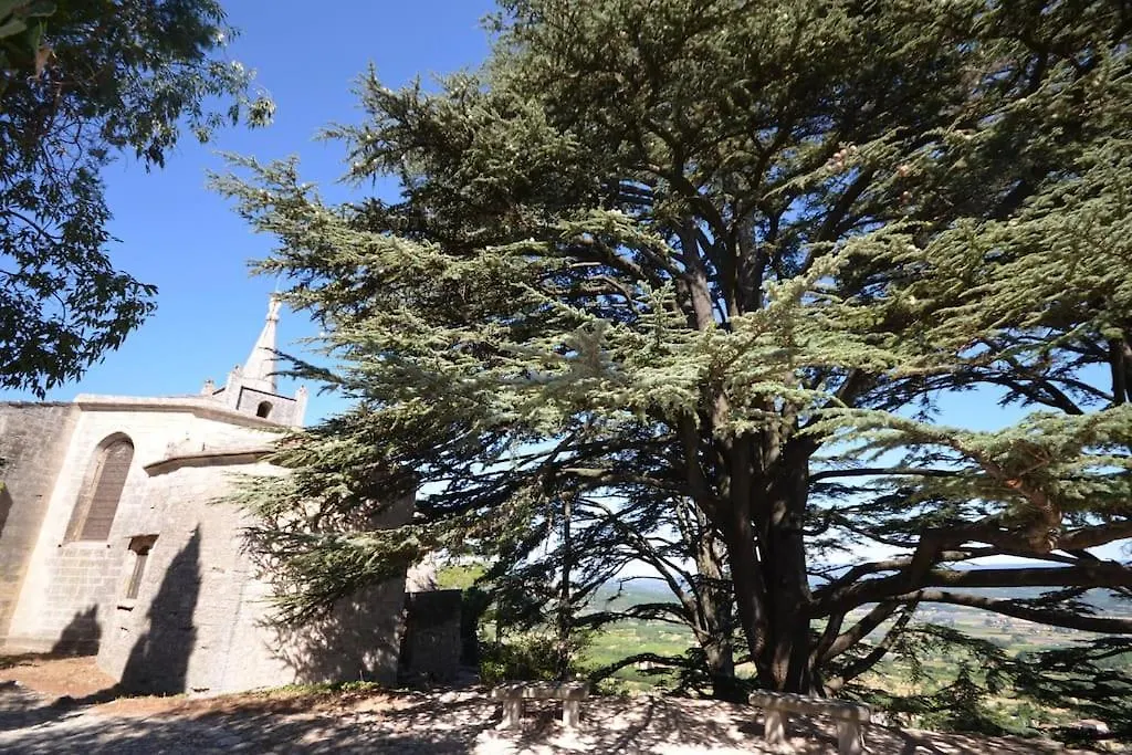 La Maison D'Anthonie, Roussillon Roussillon en Isere Frankrike